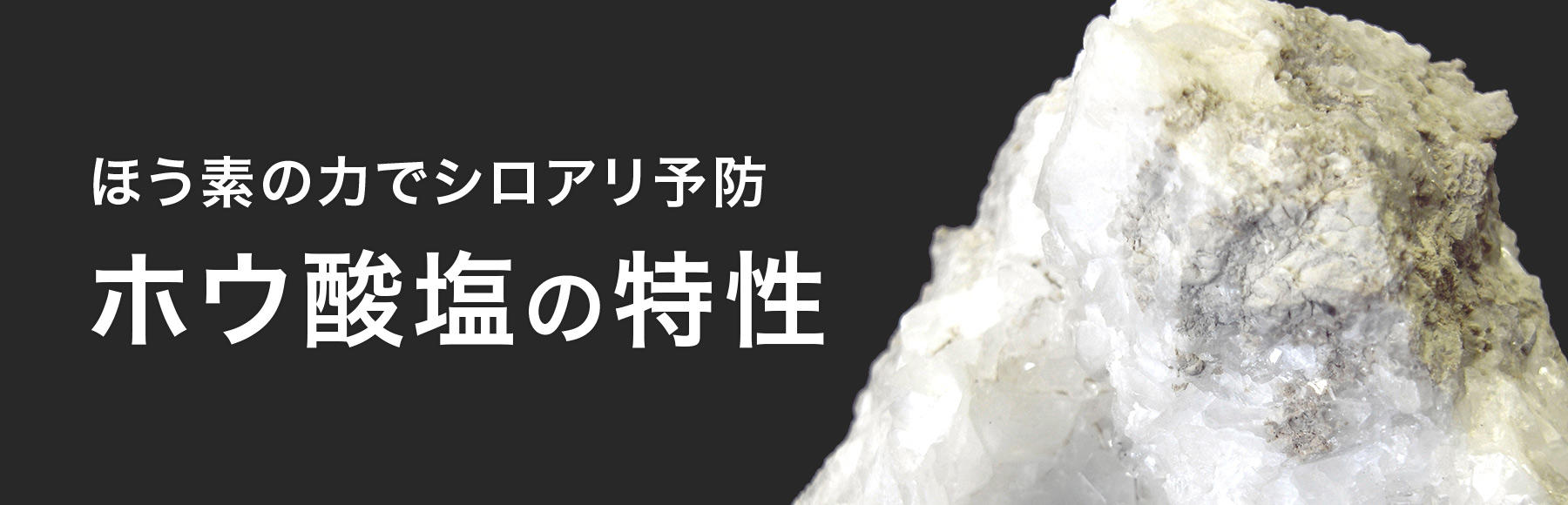 ホウ酸塩の特性(ほう素の力) ｜株式会社エコパウダー ホウ素系防腐防蟻剤のパイオニア株式会社エコパウダー
