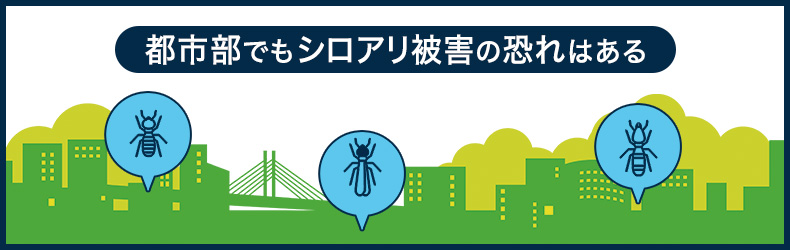 埼玉県の特徴とシロアリ事情