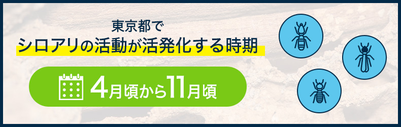 東京都の特徴とシロアリ事情