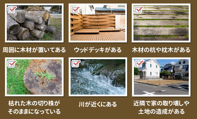 シロアリ被害に遭いやすい家の特徴