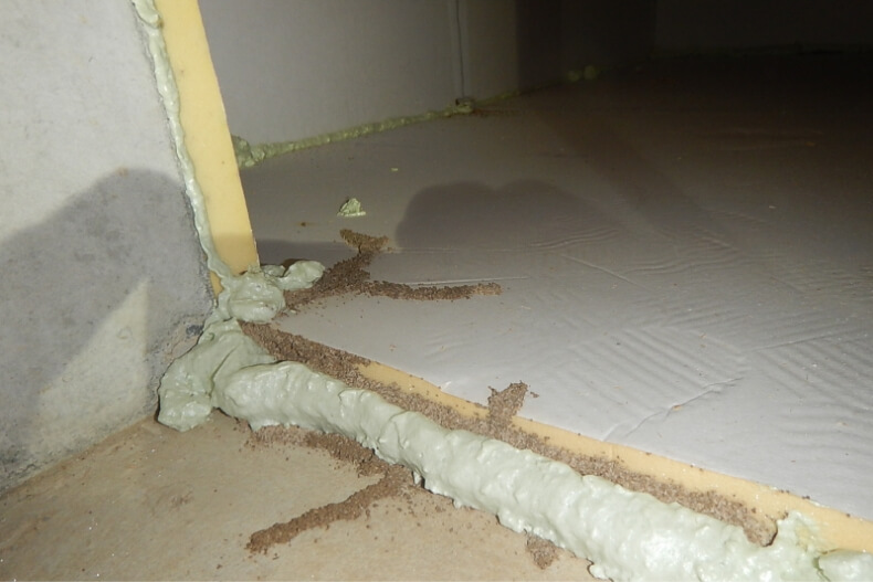 基礎内側に侵入したシロアリが、断熱材を伝って被害を拡大するケース