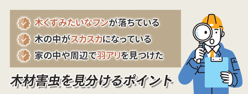 シロアリと他の木材害虫を見分けるポイント
