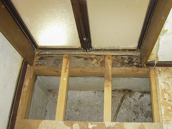 ヤマトシロアリが被害を与える床下