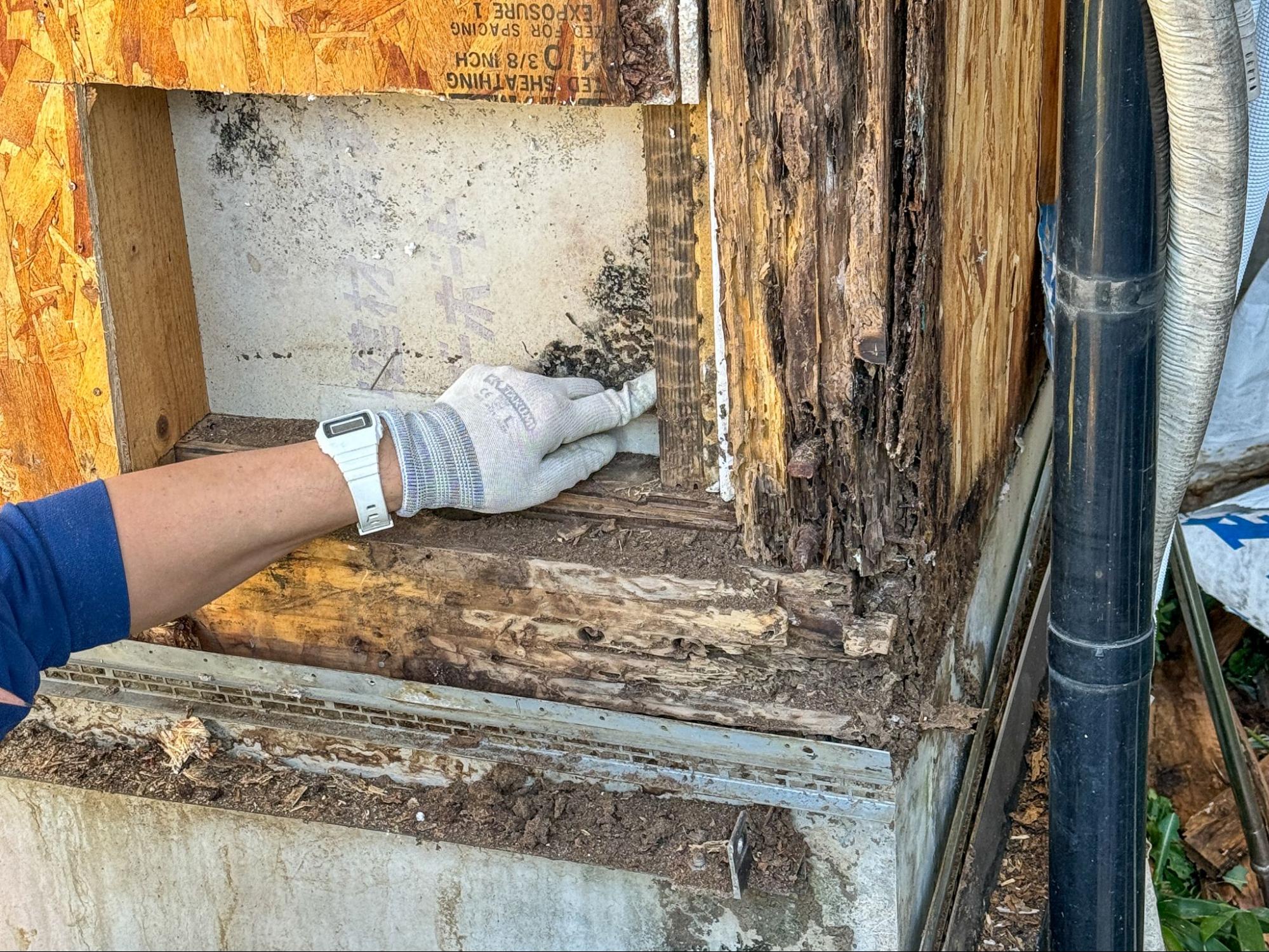 防蟻剤を使用していない