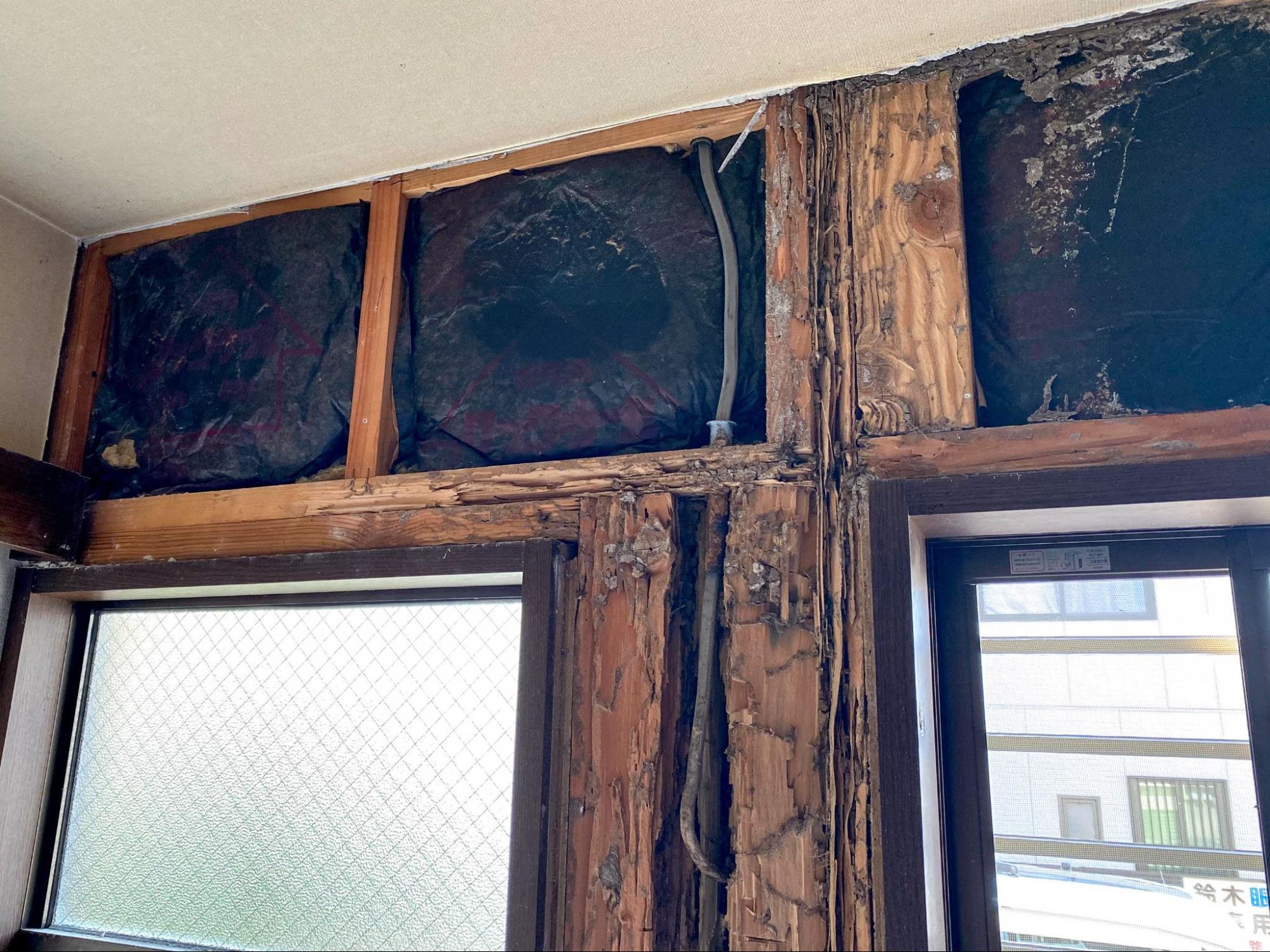 防蟻剤を使用していない