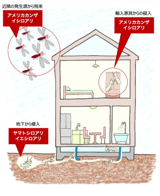 蟻道とは